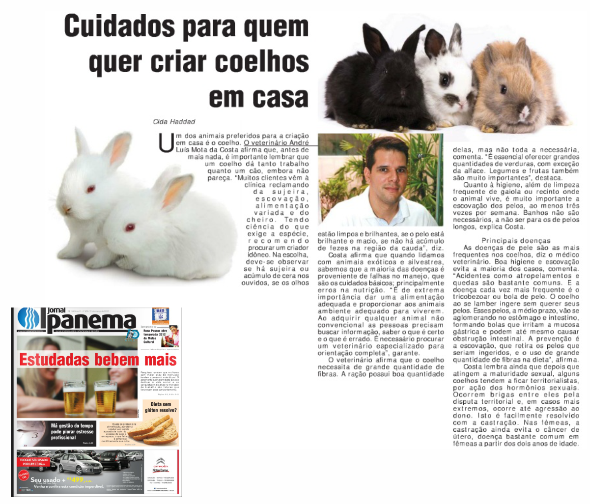 jornal_ipanema.png